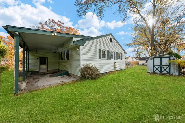 a view of a backyard with plants and large tree