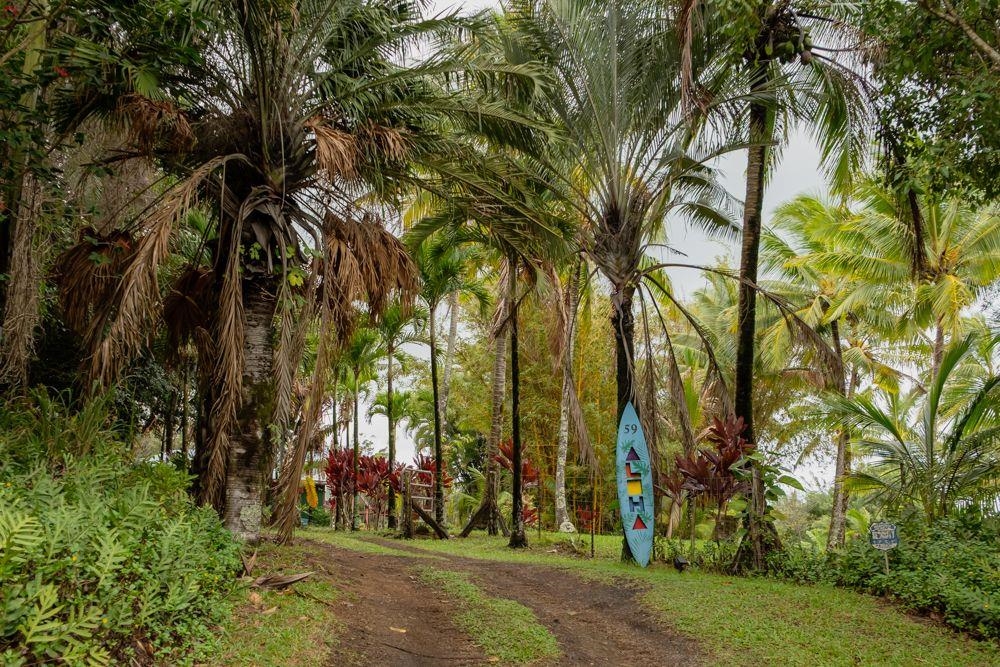 59 Door Of Faith Road Haiku, HI 96708 - Photo 30 of 45