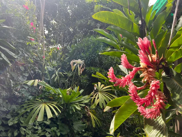 $1,550,000 | 59 Door Of Faith Road, Haiku, HI 96708