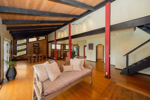 a living room with furniture and a potted plant