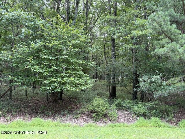21-21 Ranier Road Effort, PA 18330 - Photo 4 of 4 Lot