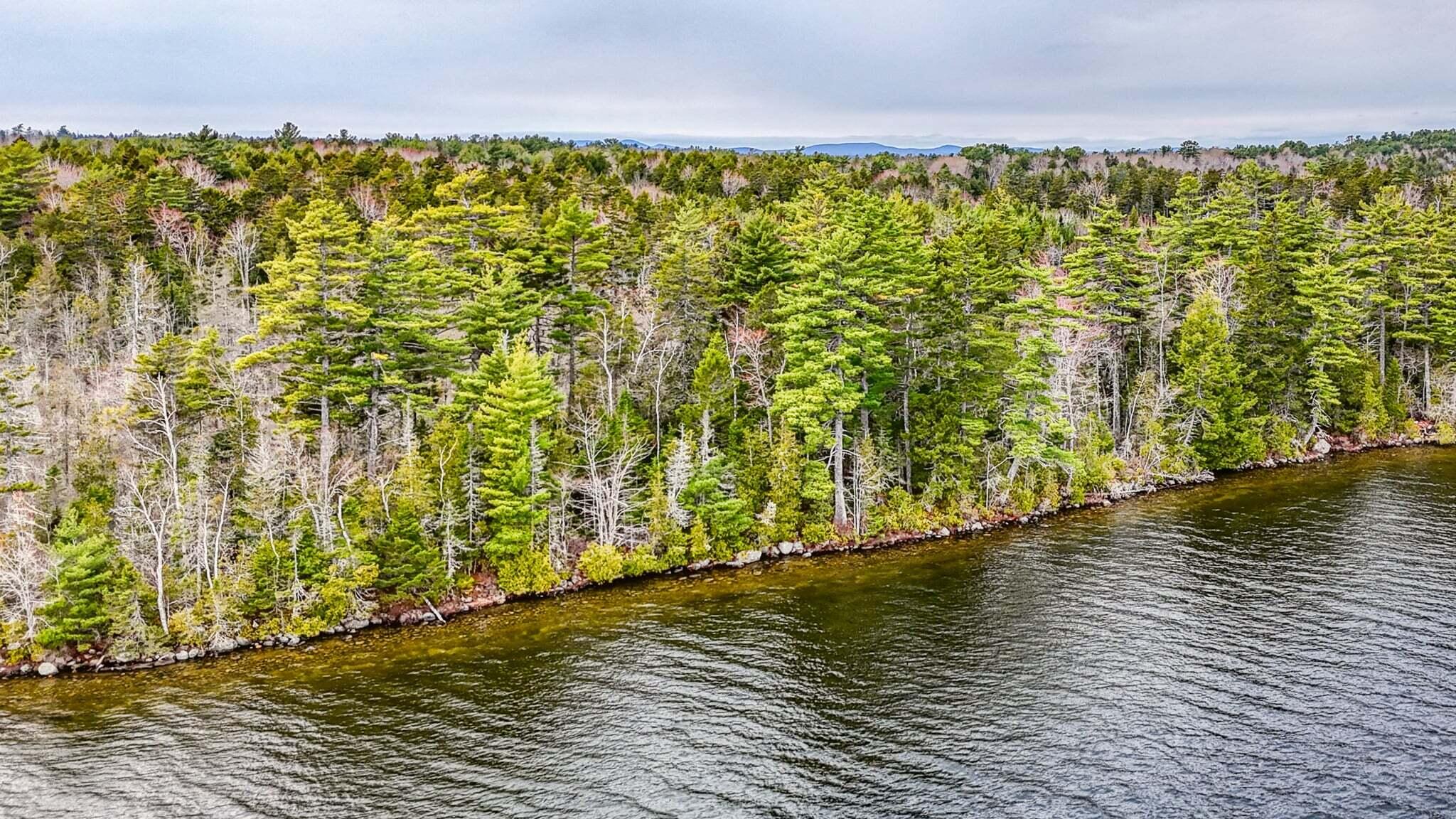 2 Wolf Cove Road Eastbrook, ME 04634 - Photo 6 of 12 23496ce9-6f66-4c15-b3a6-d02d44944317