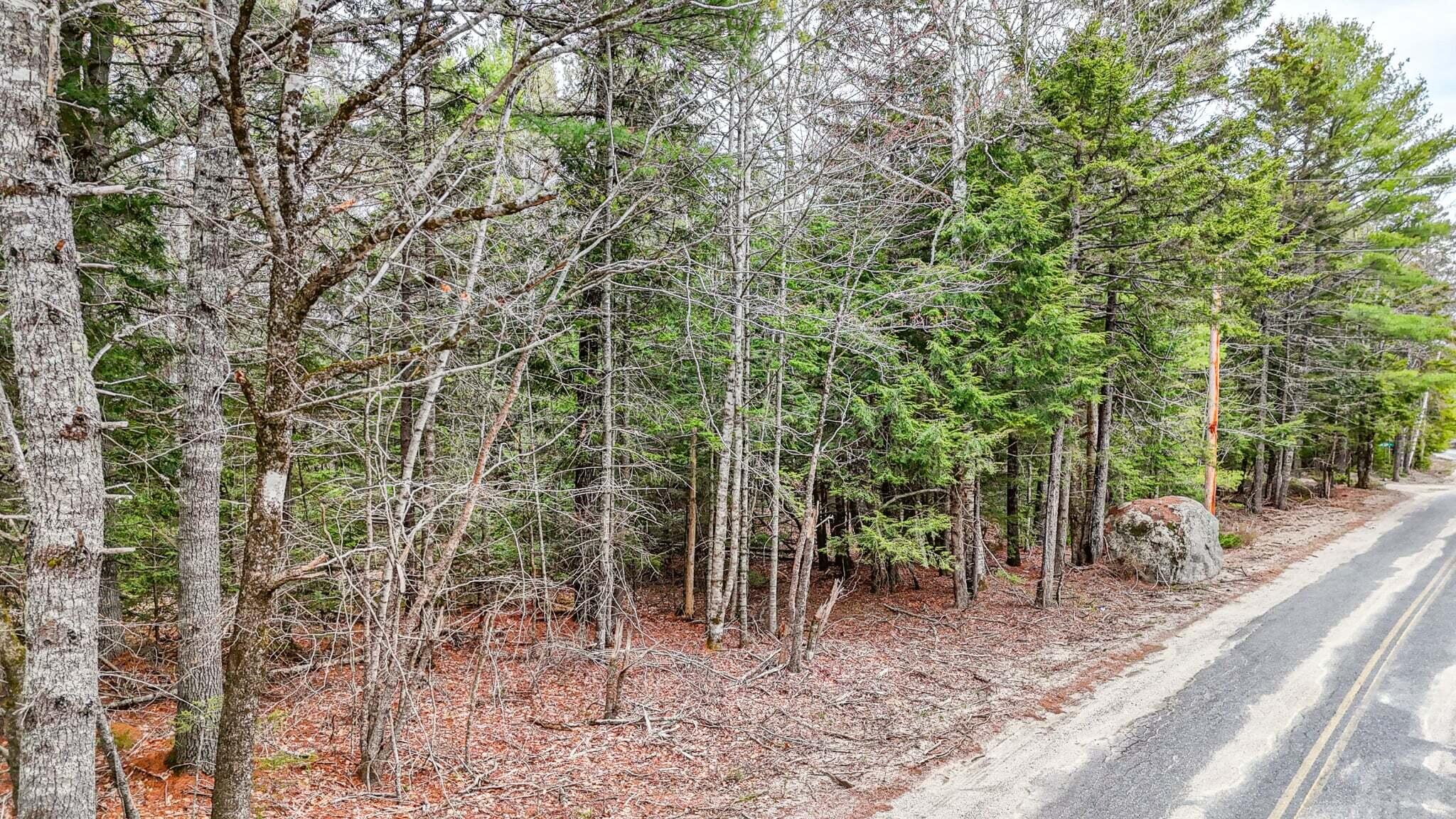 2 Wolf Cove Road Eastbrook, ME 04634 - Photo 9 of 12 c8e4de83-68f2-4ff6-b035-3ab8a4b9f304