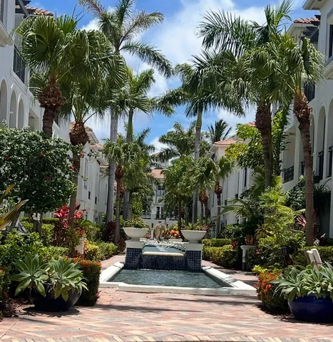a garden view with a potted plants and palm trees