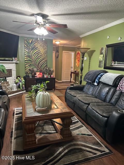 811 Low Ground Road Enfield, NC 27823 - Photo 16 of 28 IMG_5350