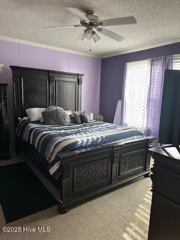 $260,000 | 811 Low Ground Road, Enfield, NC 27823