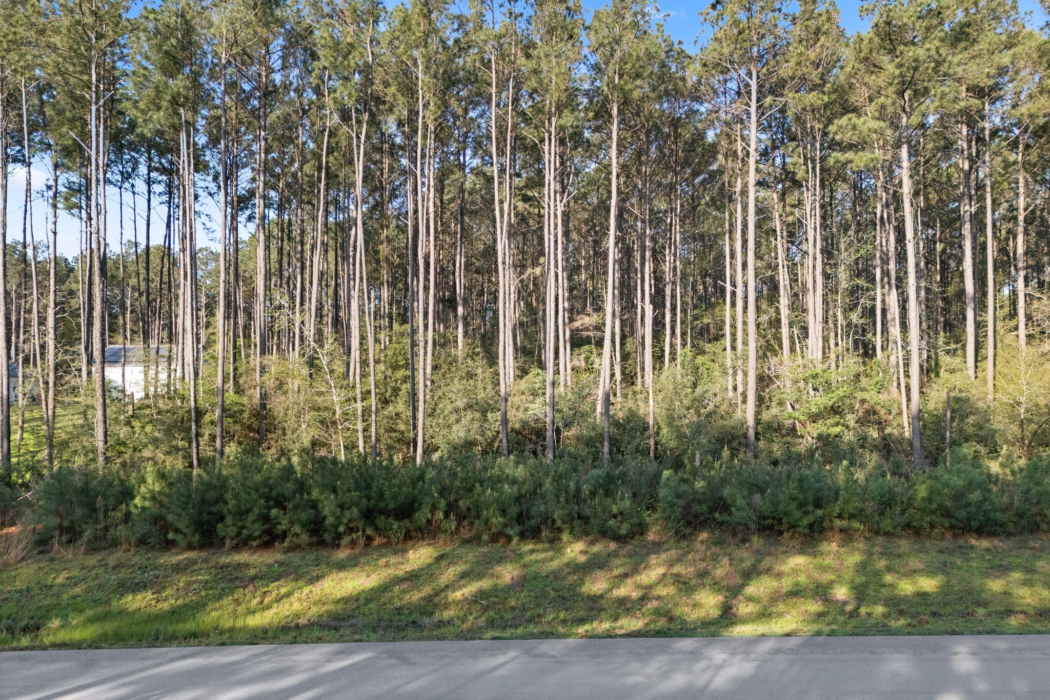 Tbd Lonestar Road Huntsville, TX 77340 - Photo 2 of 20