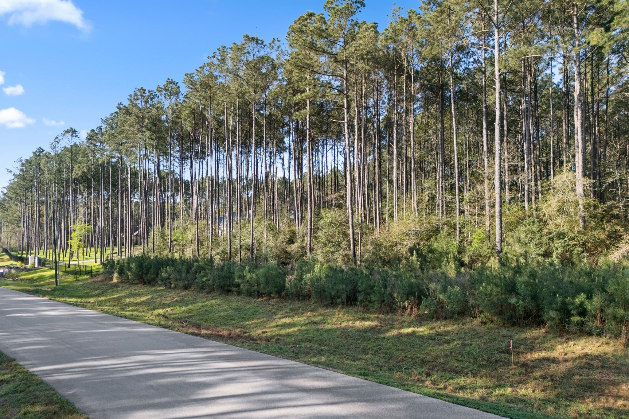 Tbd Lonestar Road Huntsville, TX 77340 - Photo 3 of 20