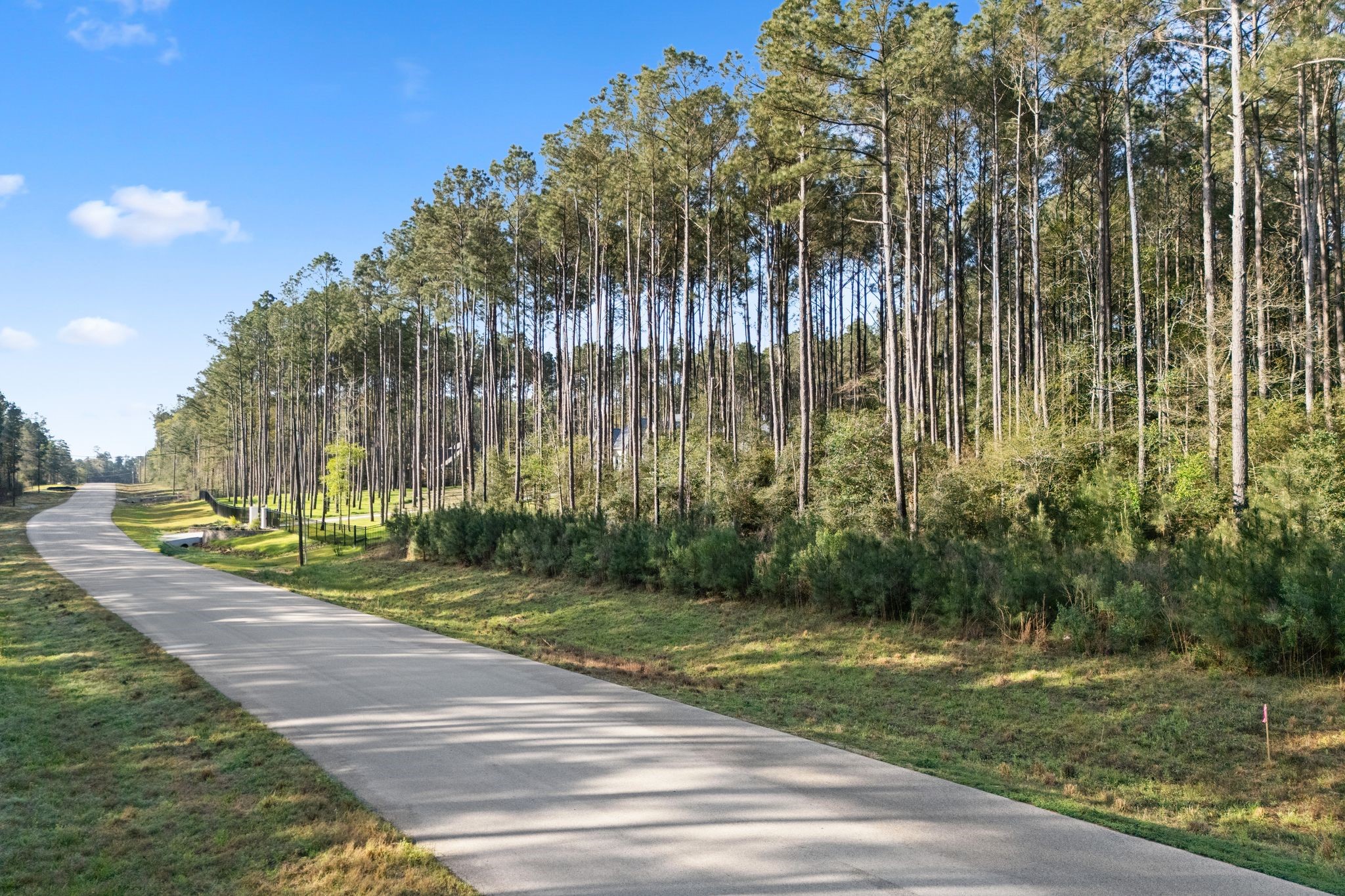 Tbd Lonestar Road Huntsville, TX 77340 - Photo 4 of 20