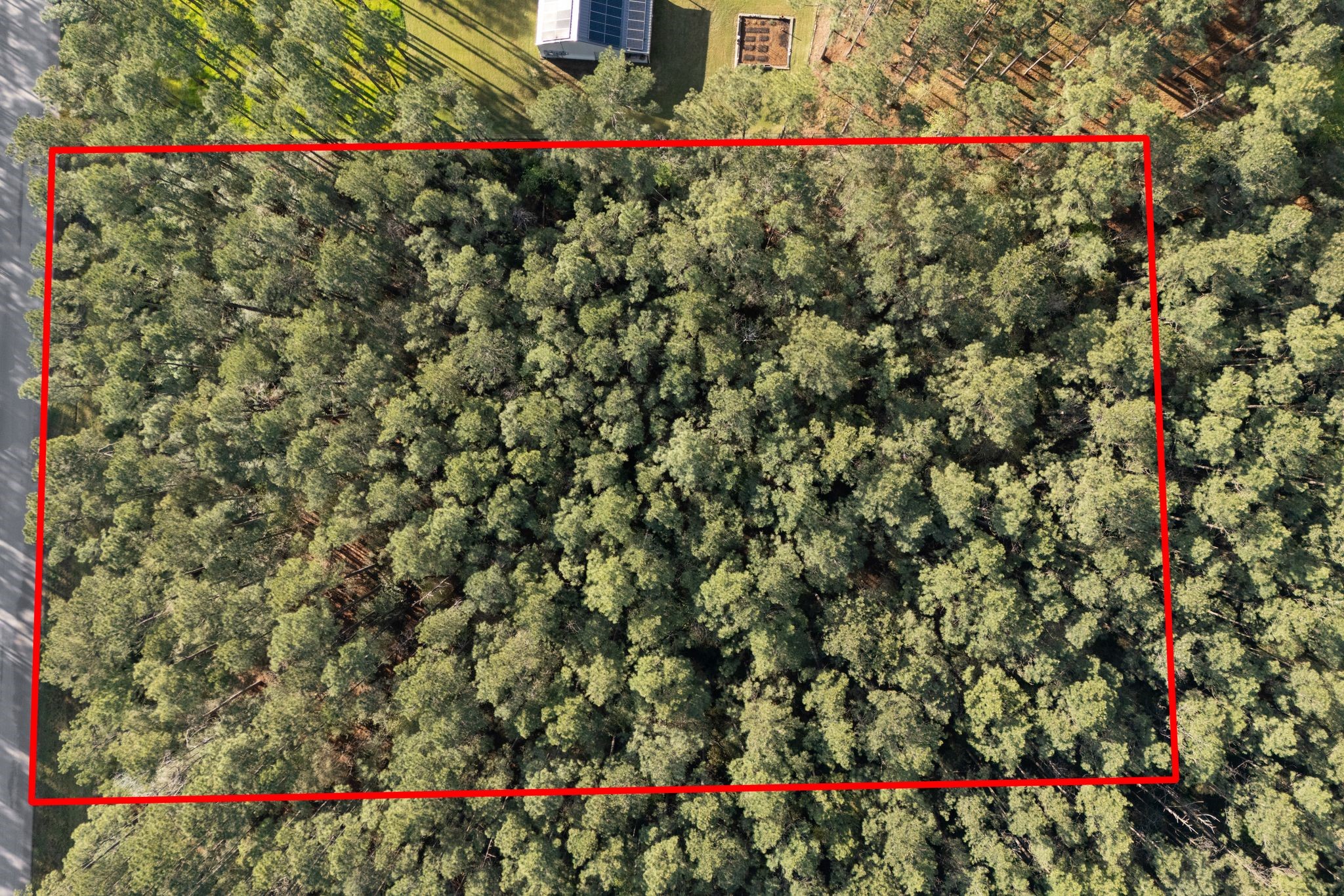 Tbd Lonestar Road Huntsville, TX 77340 - Photo 6 of 20