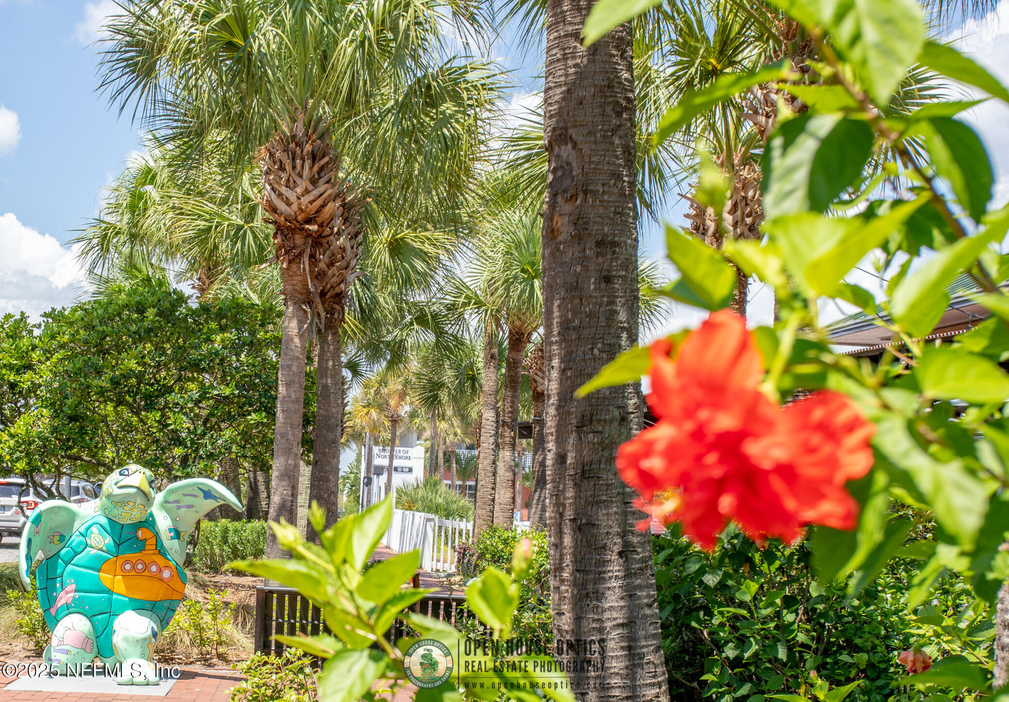 2307 Beachcomber Trail Atlantic Beach, FL 32233 - Photo 71 of 75 a view of a flower