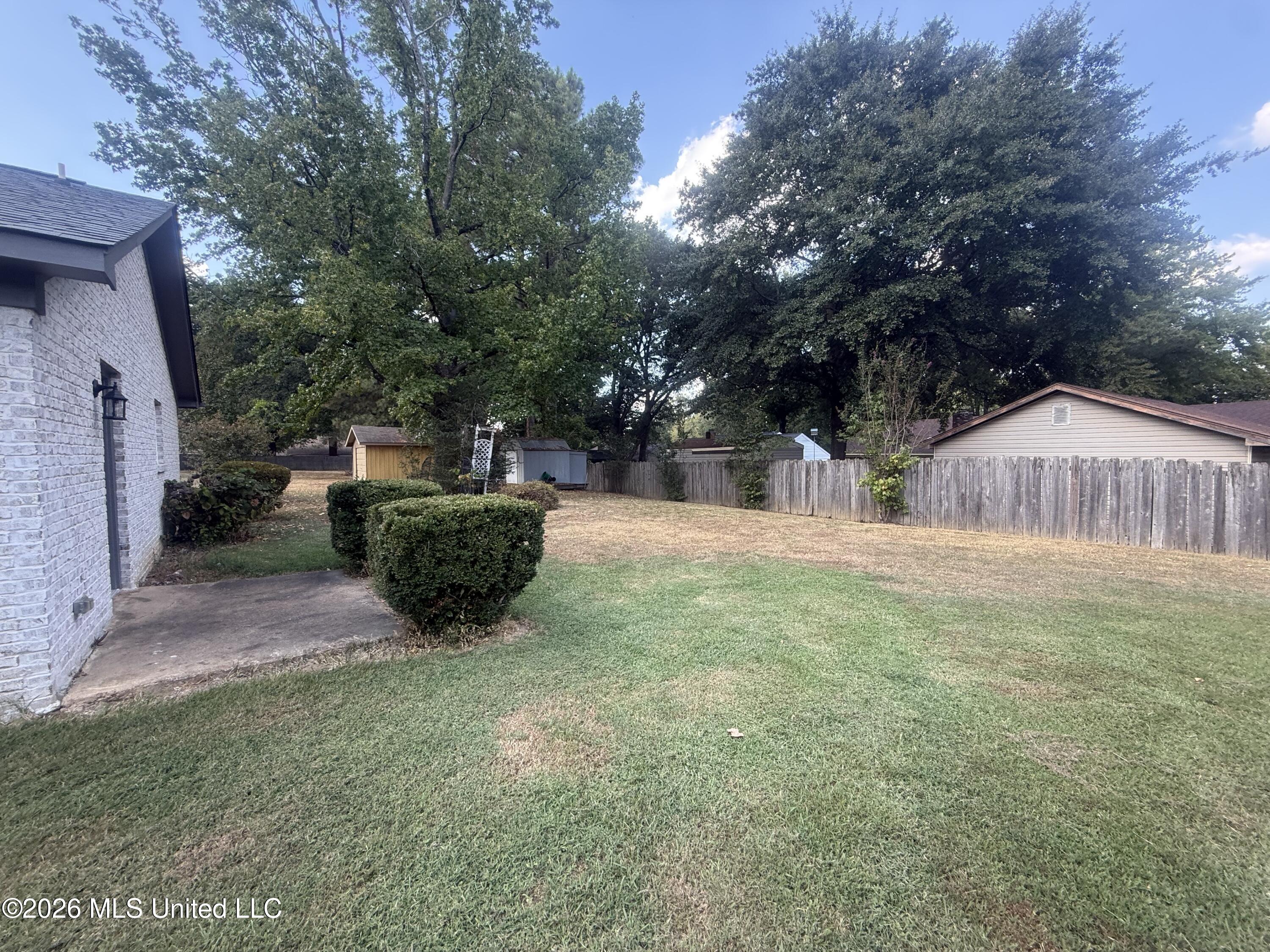 538 Pin Oak Point Southaven, MS 38671 - Photo 23 of 24 Backyard