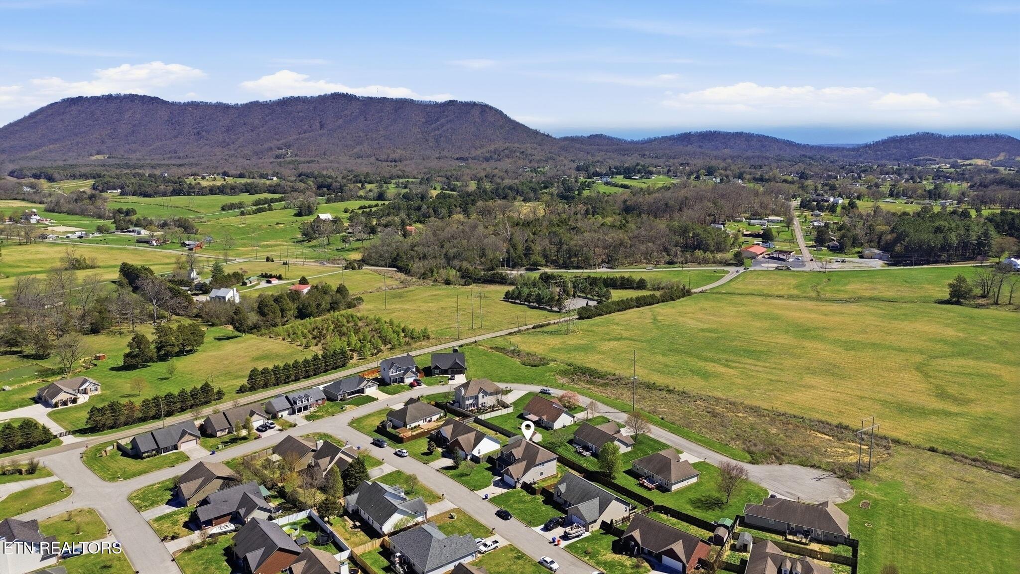 8436 Reality Lane Corryton, TN 37721 - Photo 33 of 35 Untitled design (17)