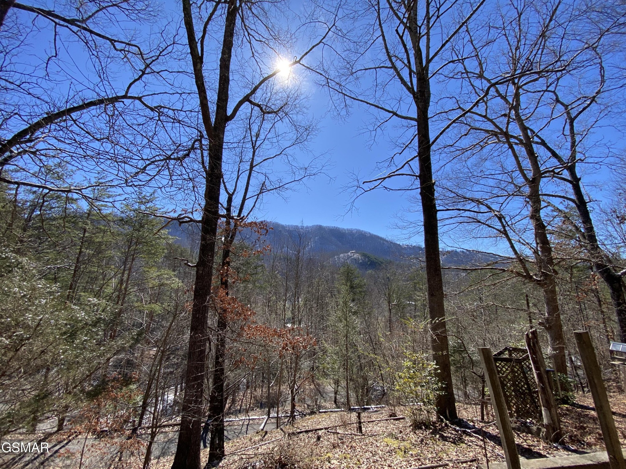 1724 Red Fox Ridge Way Sevierville, TN 37862 - Photo 58 of 59 a view of a yard with a tree
