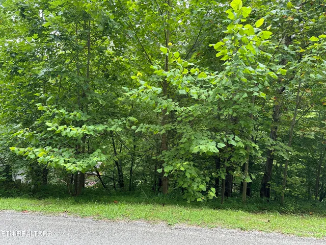 $48,750 | Lot 21 Ridge Road, Caryville, TN 37714