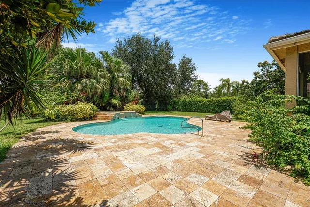 a view of a park with plants and trees