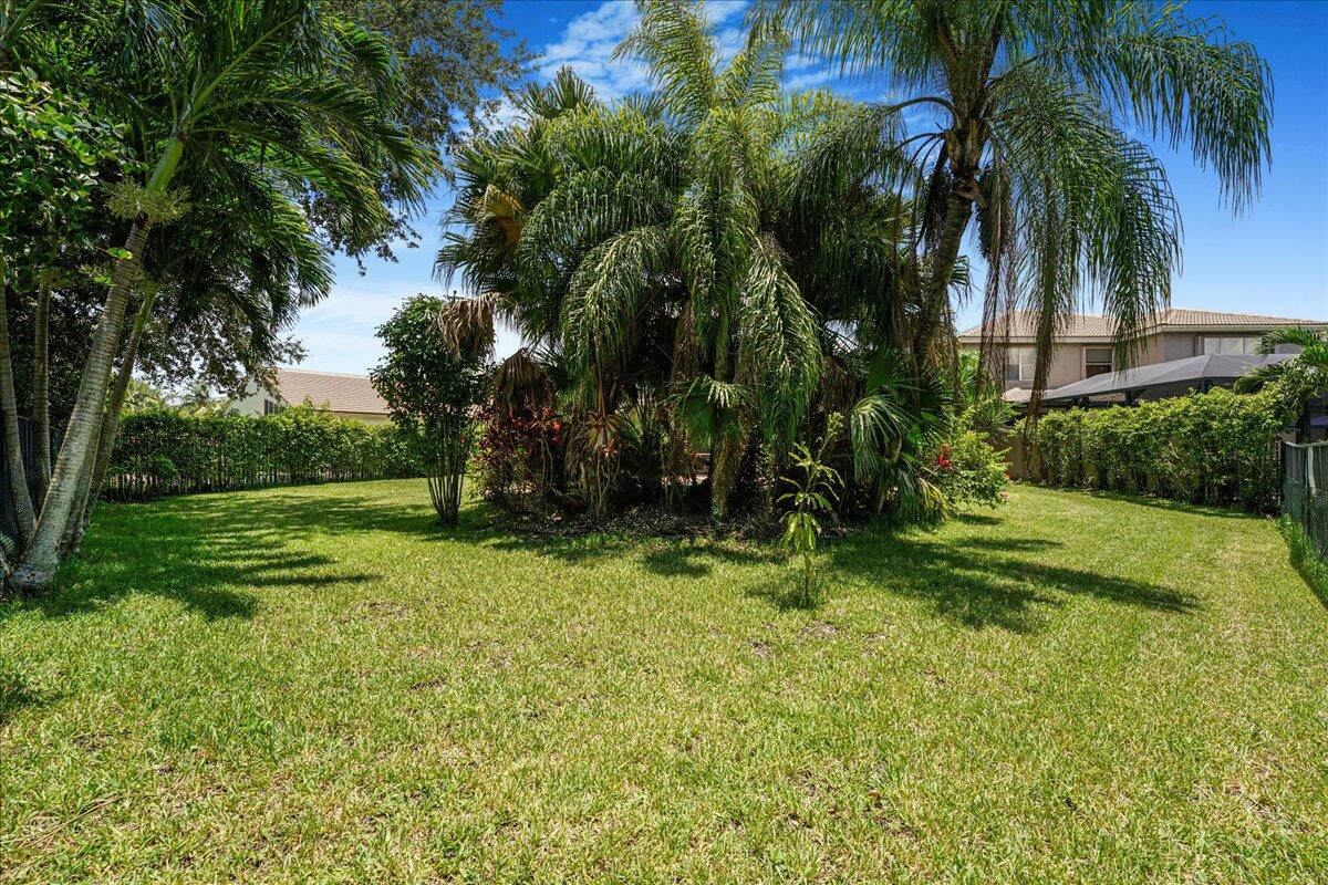 19059 Skyridge Circle Boca Raton, FL 33498 - Photo 7 of 40 a view of a garden with a tree