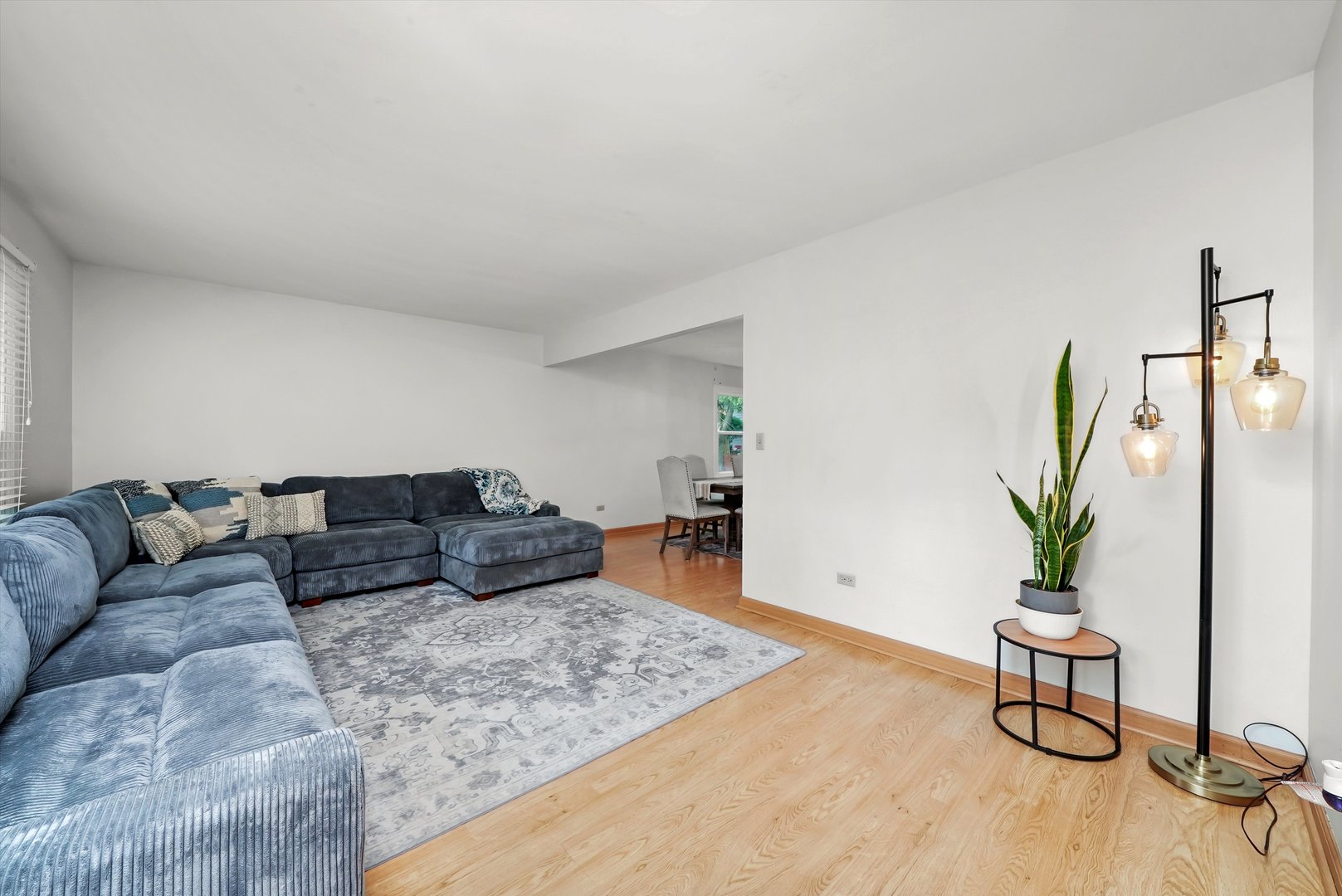 41 Lockman Circle Elgin, IL 60123 - Photo 4 of 46 a living room with furniture and a potted plant