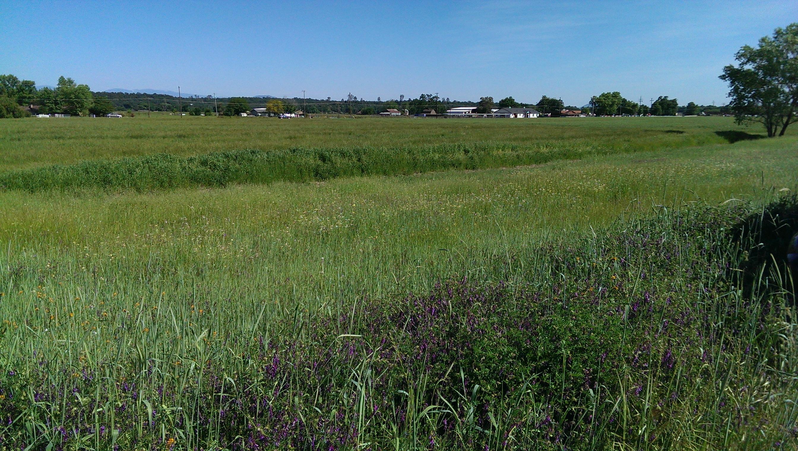 5-acres Deschutes Road Anderson, CA 96007 - Photo 2 of 6 Deschutes 1