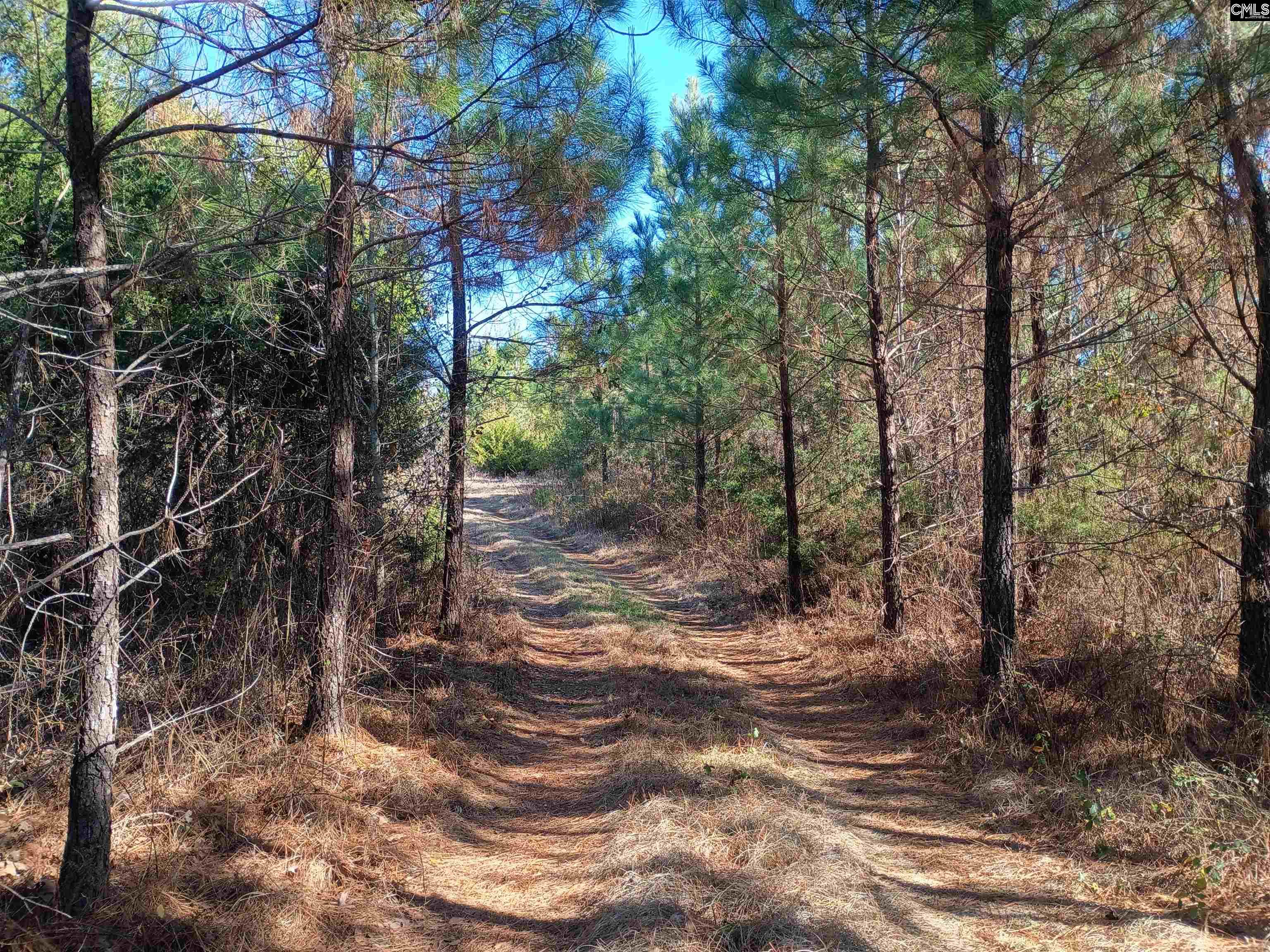 1163 June Berry Road Camden, SC 29020 - Photo 14 of 20