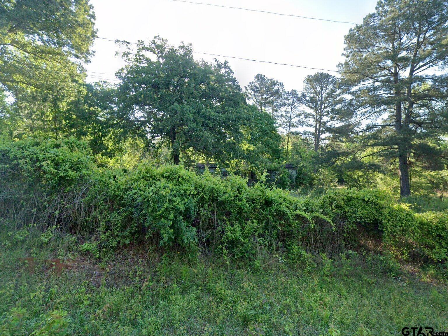 451 Harvey Road Kilgore, TX 75662 - Photo 1 of 1