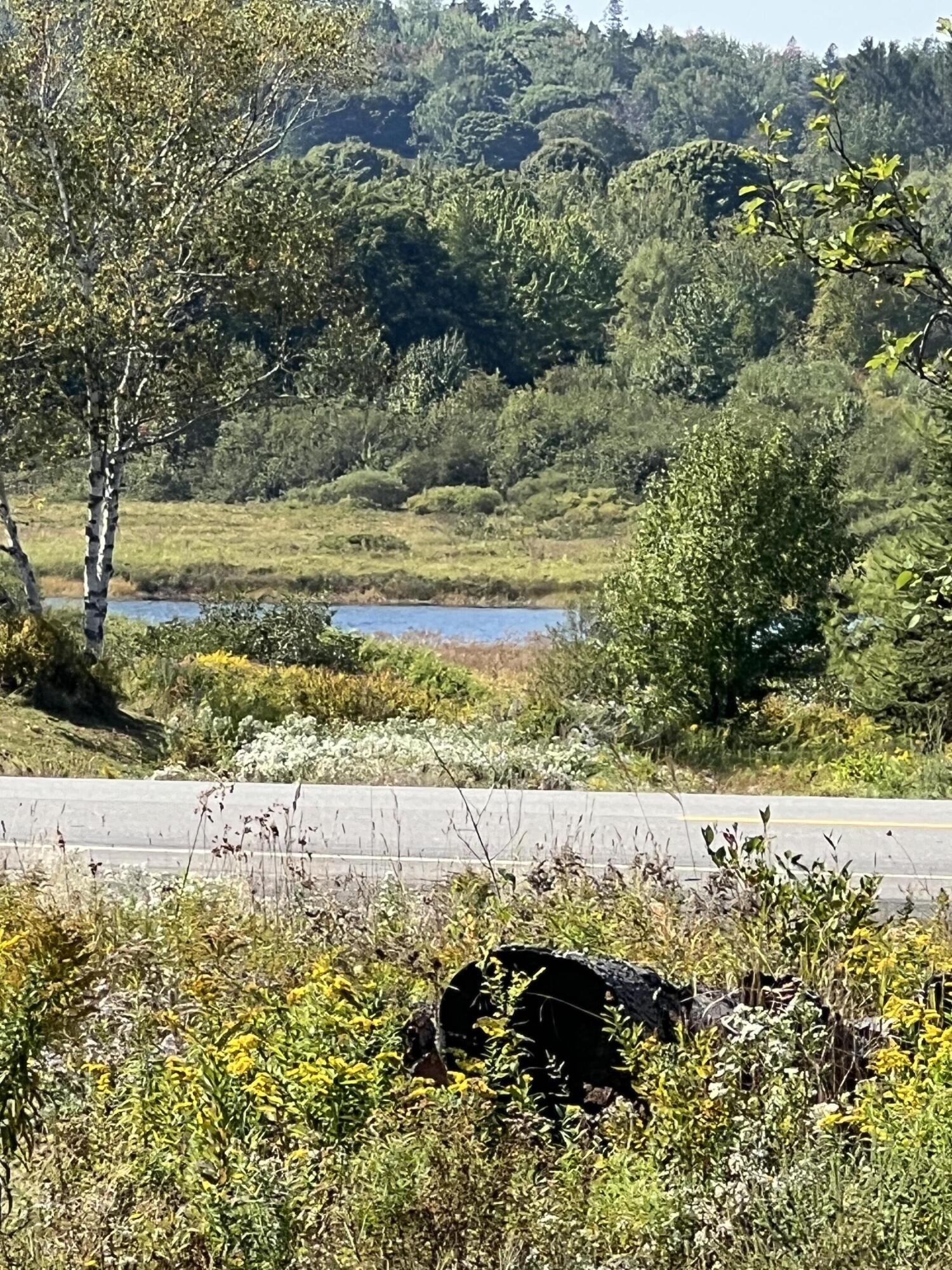346 Main Street East Machias, ME 04630 - Photo 12 of 19 River Views