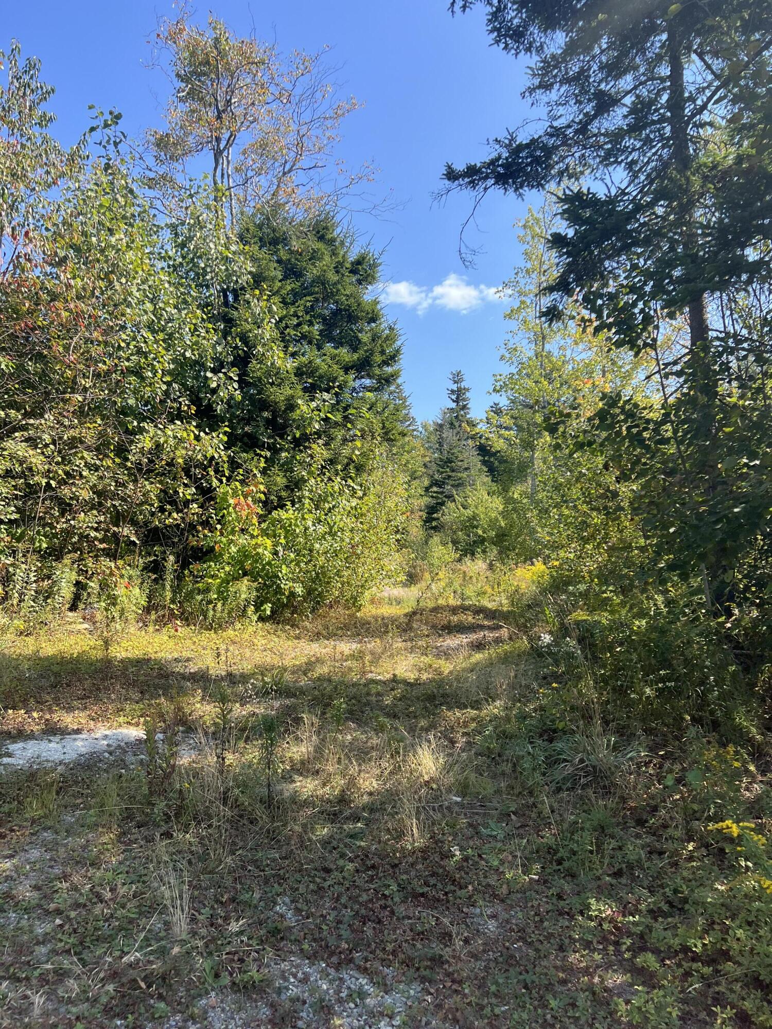 346 Main Street East Machias, ME 04630 - Photo 15 of 19 IMG_2593