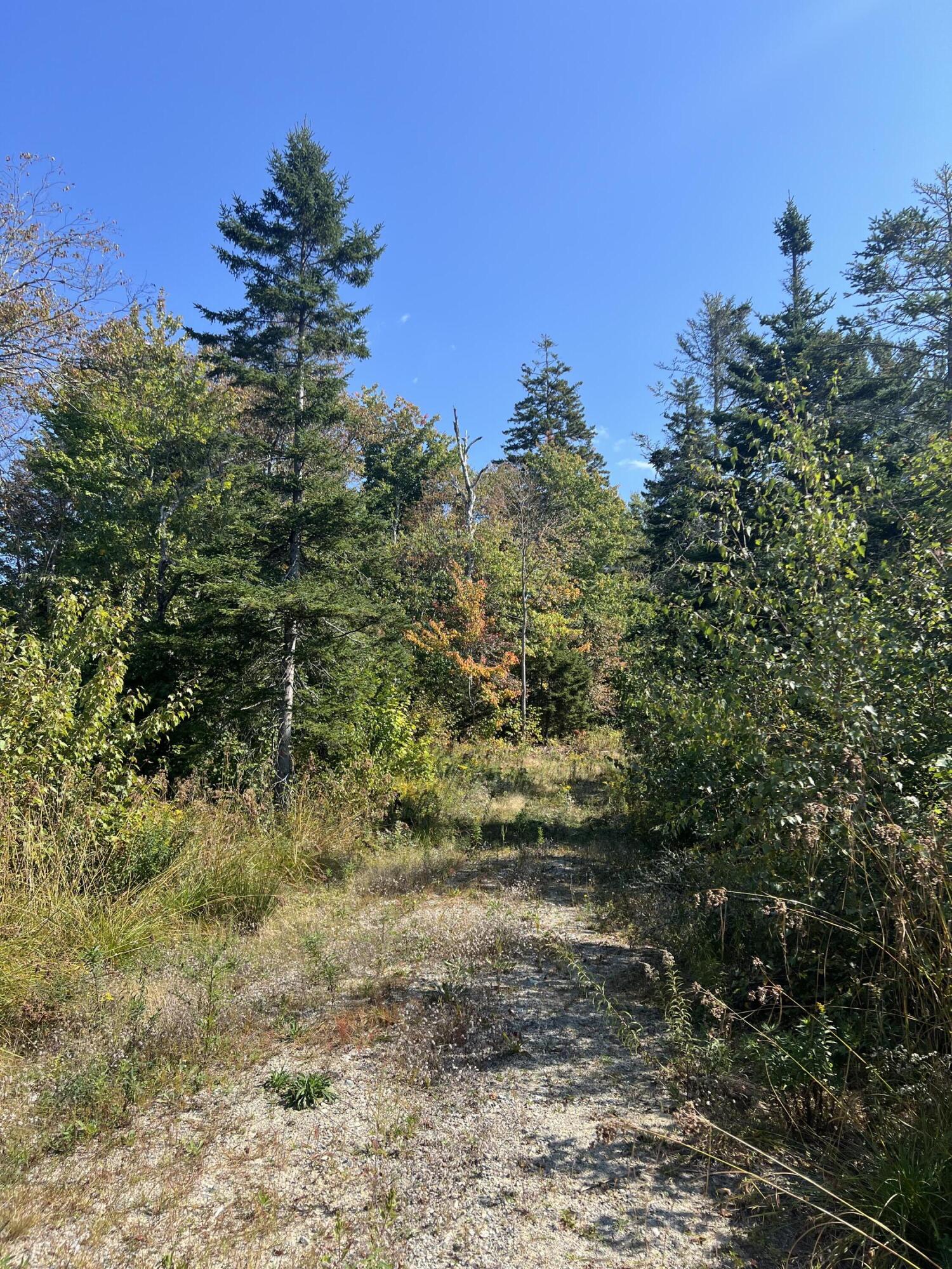 346 Main Street East Machias, ME 04630 - Photo 16 of 19 IMG_2598