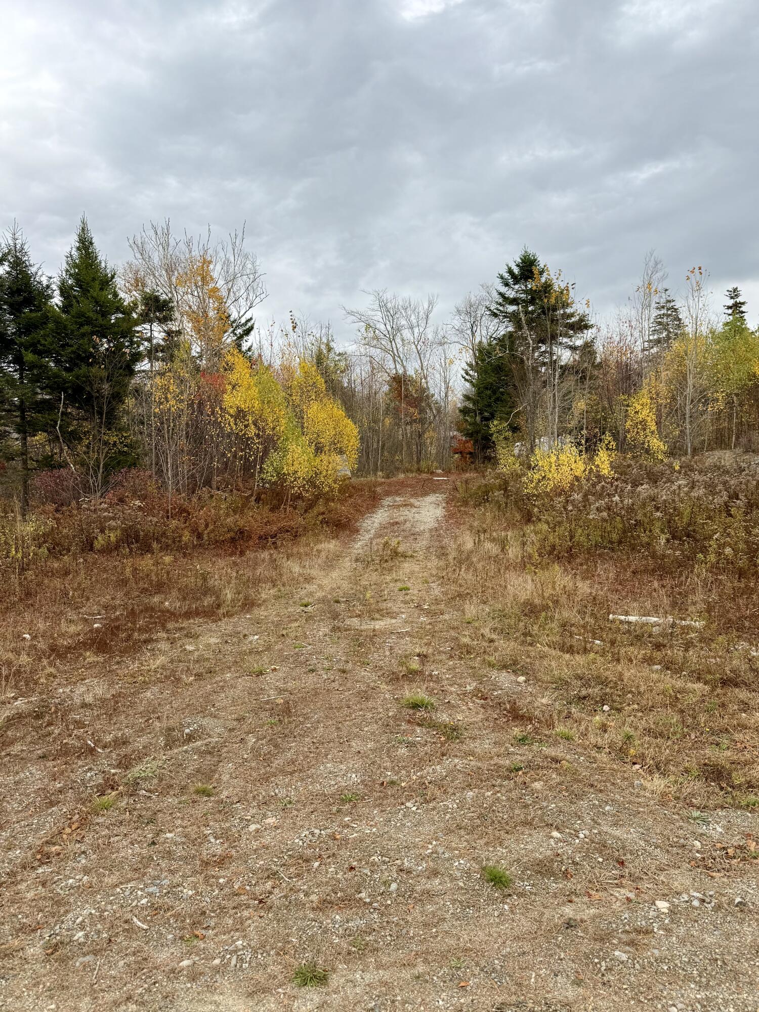 346 Main Street East Machias, ME 04630 - Photo 3 of 19 IMG_9153