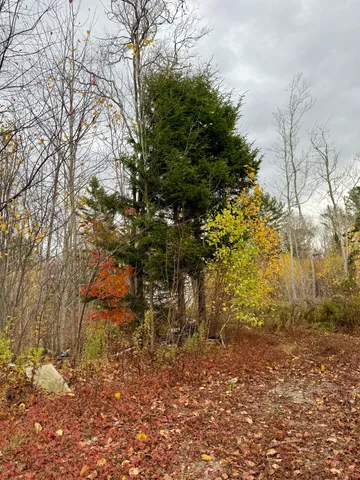 $29,995 | 346 Main Street, East Machias, ME 04630