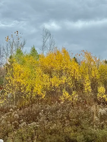 $29,995 | 346 Main Street, East Machias, ME 04630