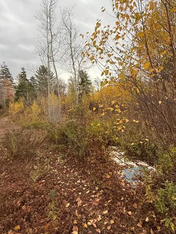 $29,995 | 346 Main Street, East Machias, ME 04630