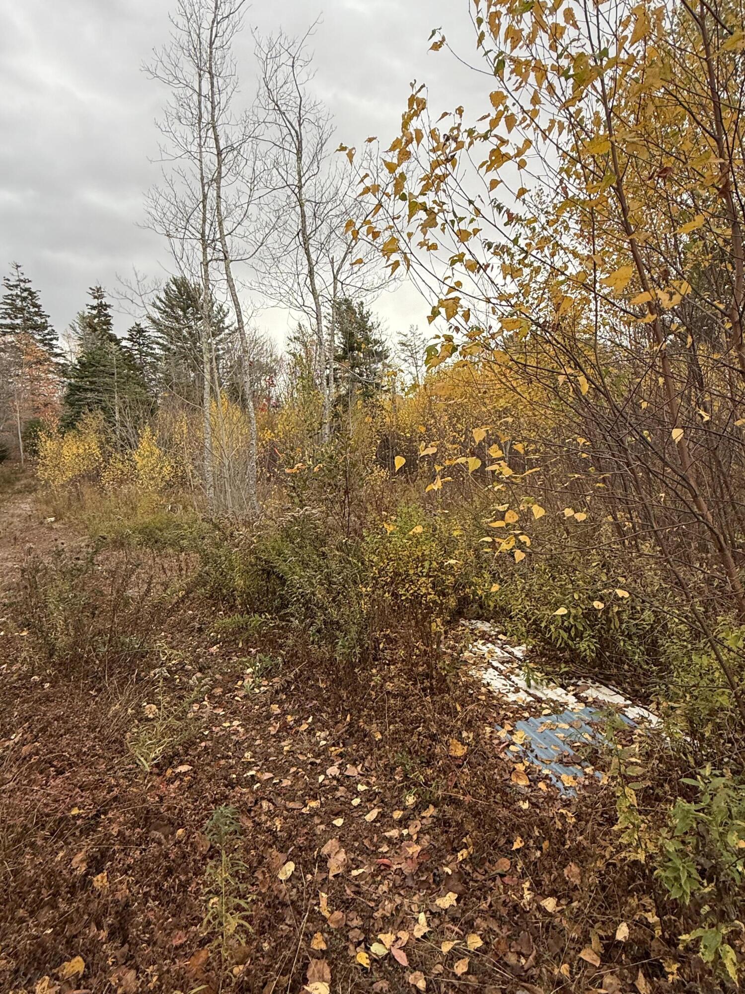 346 Main Street East Machias, ME 04630 - Photo 8 of 19 IMG_9164