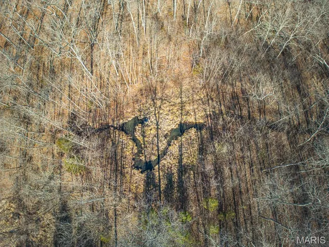 $810,000 | 0 V Highway, Myrtle, MO 65778