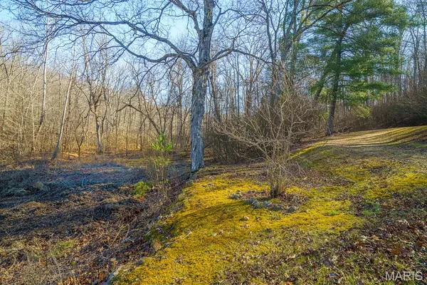 $810,000 | 0 V Highway, Thayer, MO 65791