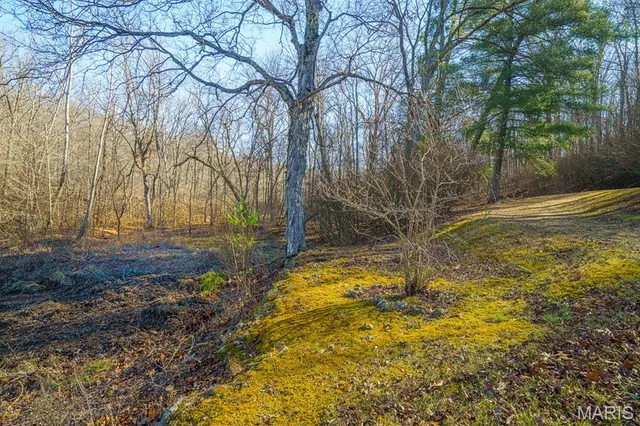 $810,000 | 0 V Highway, Myrtle, MO 65778