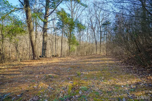 $810,000 | 0 V Highway, Thayer, MO 65791