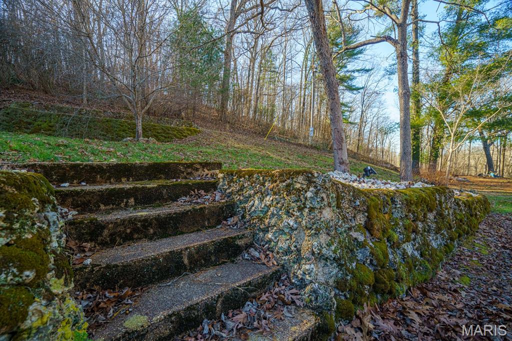 0 V Highway Myrtle, MO 65778 - Photo 81 of 96