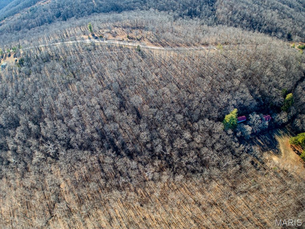 0 V Highway Myrtle, MO 65778 - Photo 90 of 96