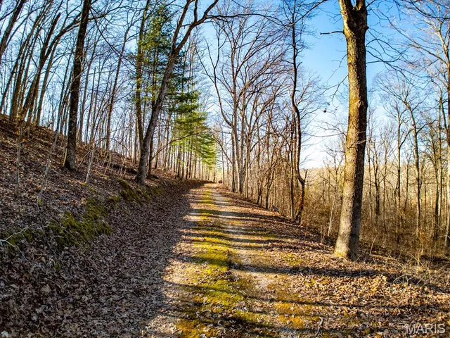 $810,000 | 0 V Highway, Myrtle, MO 65778