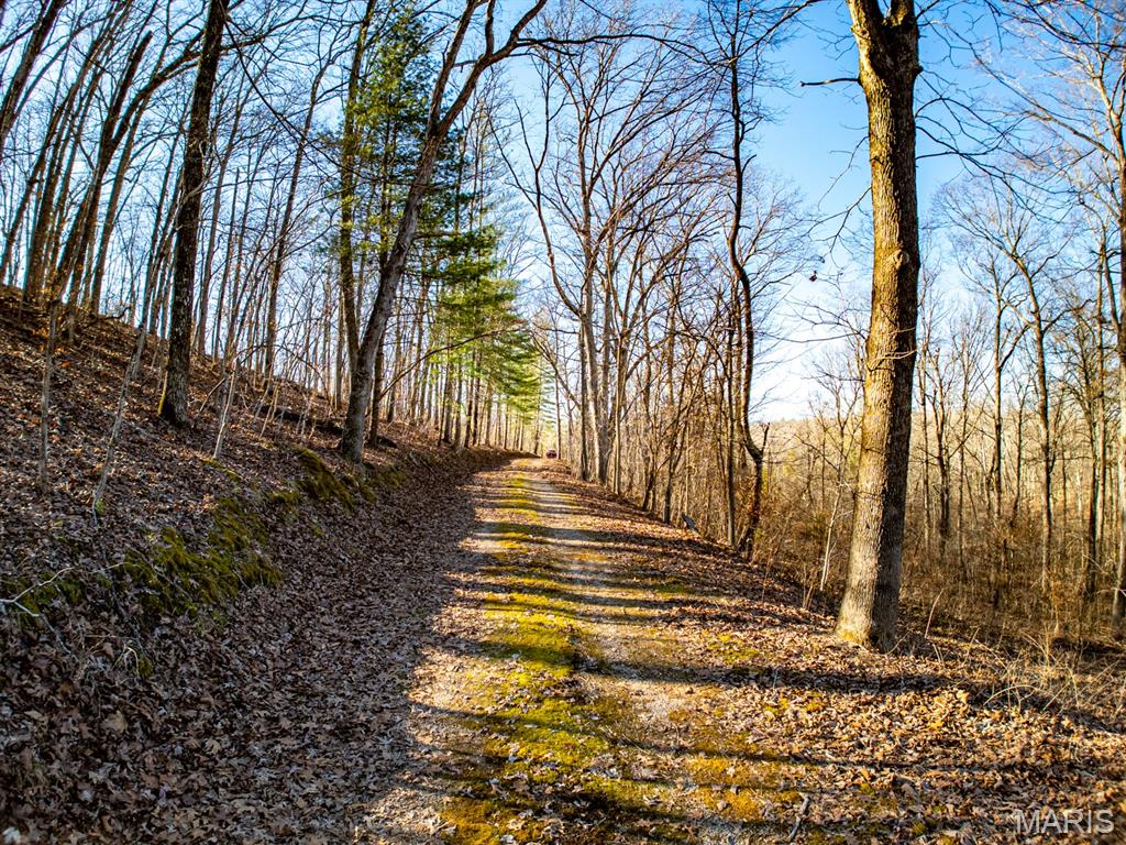 0 V Highway Myrtle, MO 65778 - Photo 94 of 96