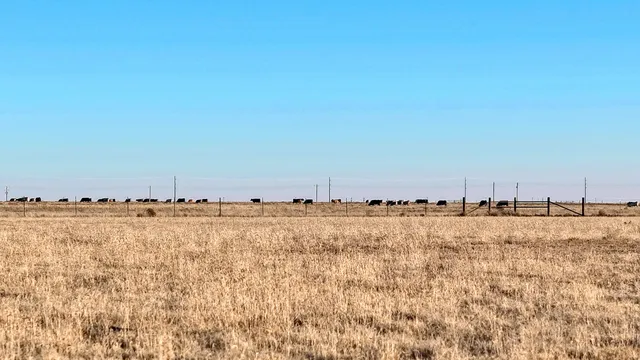 $285,000 | 1368 Farm To Market Road 3141, Tulia, TX 79088