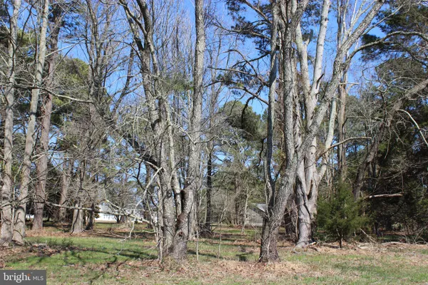 $3,000 | 134 Neptune Drive, Greenbackville, VA 23356