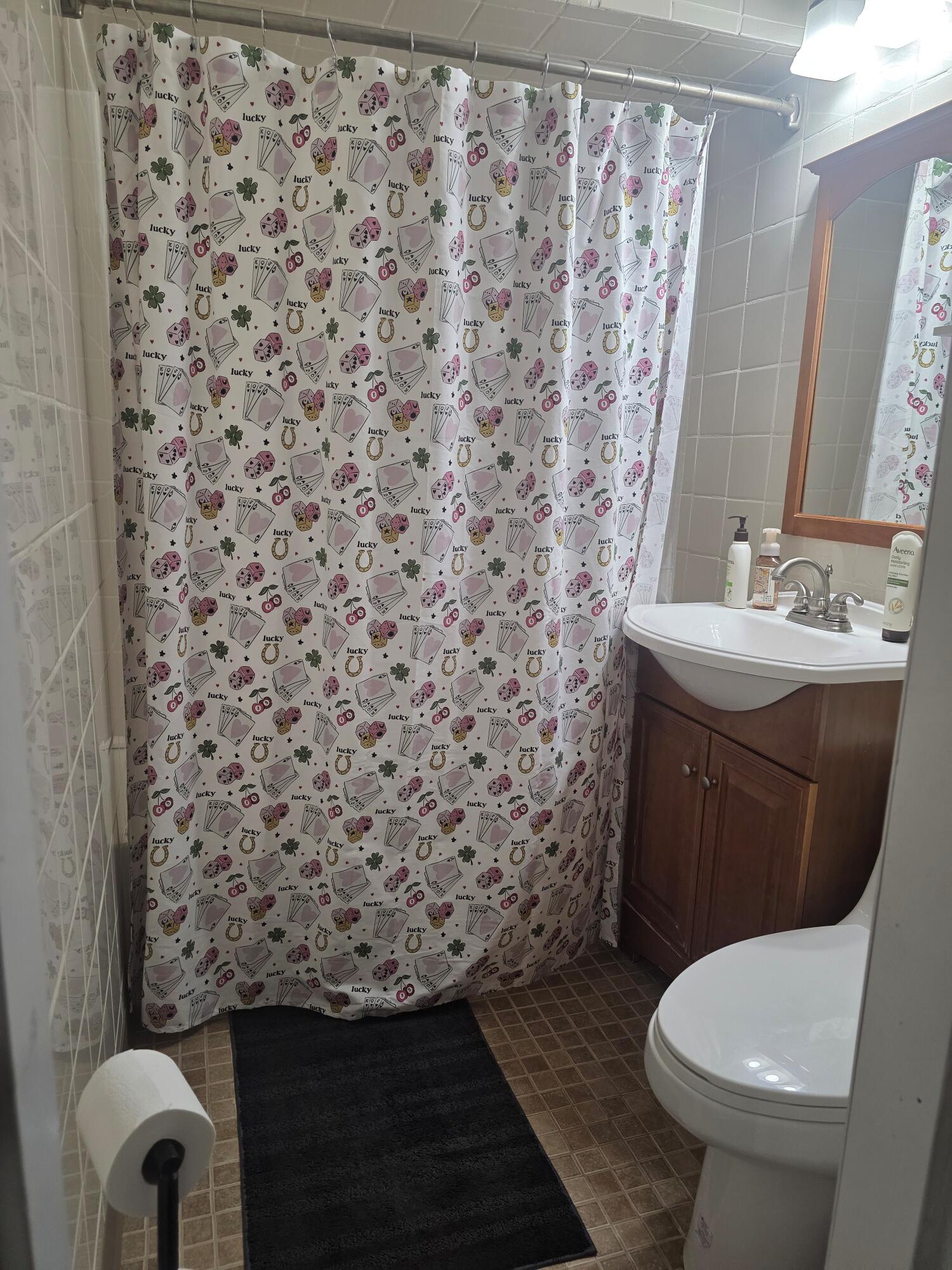 14185 Conover Place Romulus, MI 48174 - Photo 16 of 18 Main Bathroom
