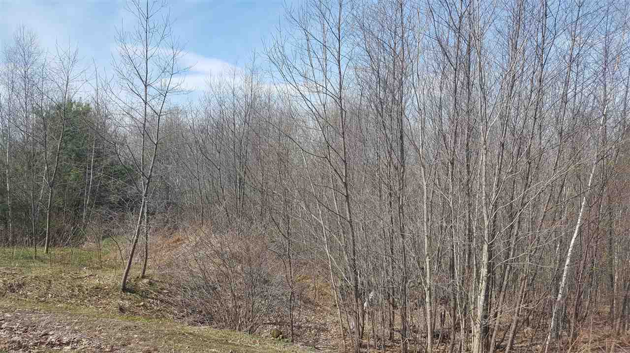160 Deer Meadow Road Pittsfield, NH 03263 - Photo 3 of 8 Gallery Image 3