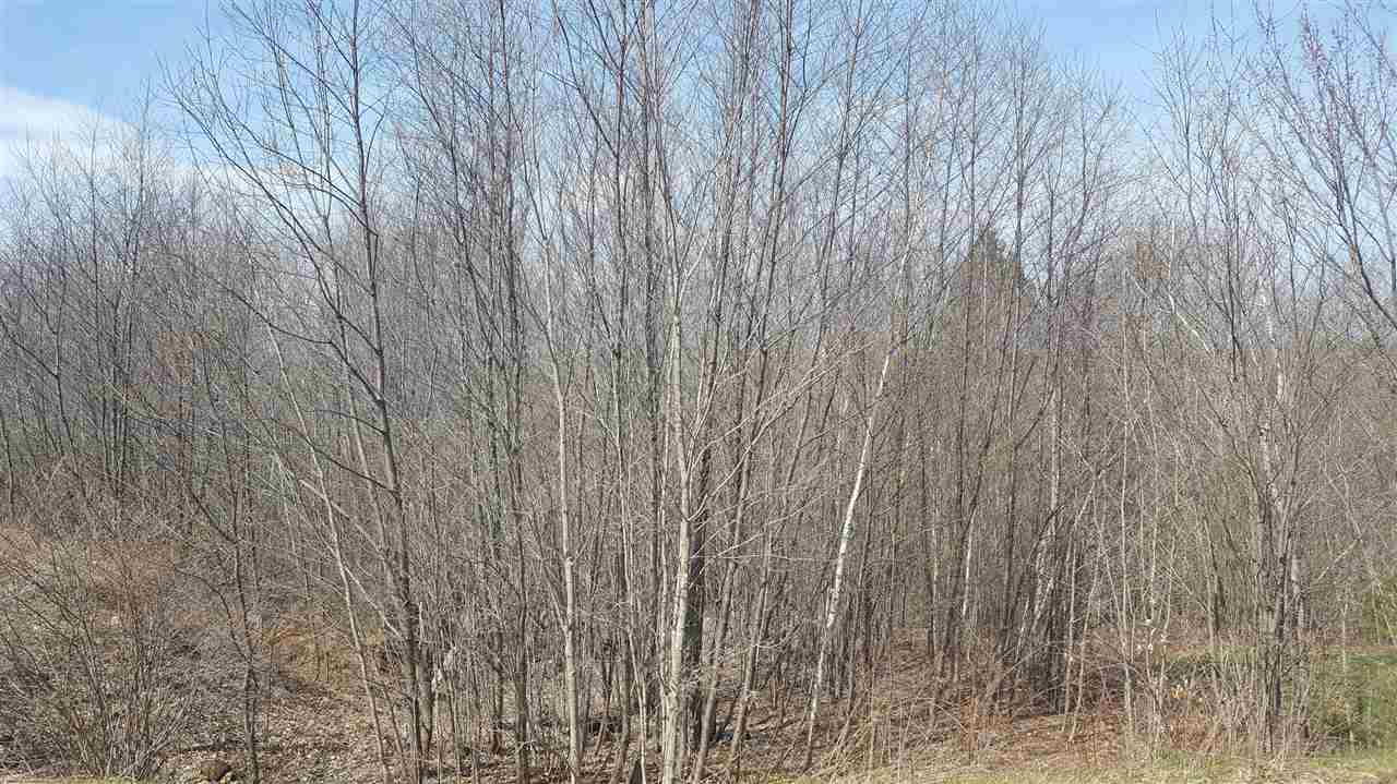 160 Deer Meadow Road Pittsfield, NH 03263 - Photo 4 of 8 Gallery Image 4