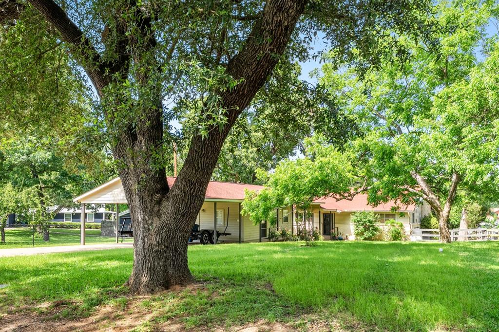 111 Ridgeoak Way Tool, TX 75143 - Photo 20 of 24 a tree in the grass next to a large trees