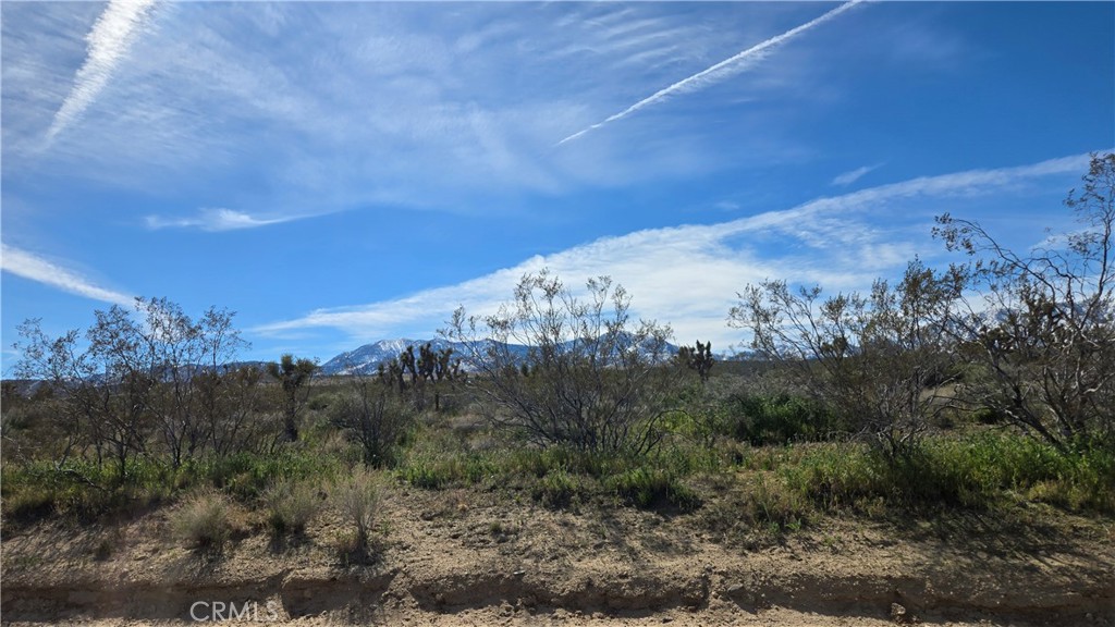 0 Fort Tejon Road Llano, CA 93544 - Photo 12 of 50 a view of a mountain range with trees in the background