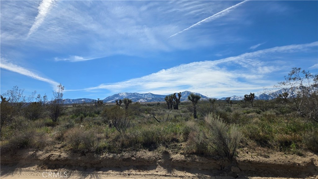 0 Fort Tejon Road Llano, CA 93544 - Photo 13 of 50 a view of a city with lush green forest