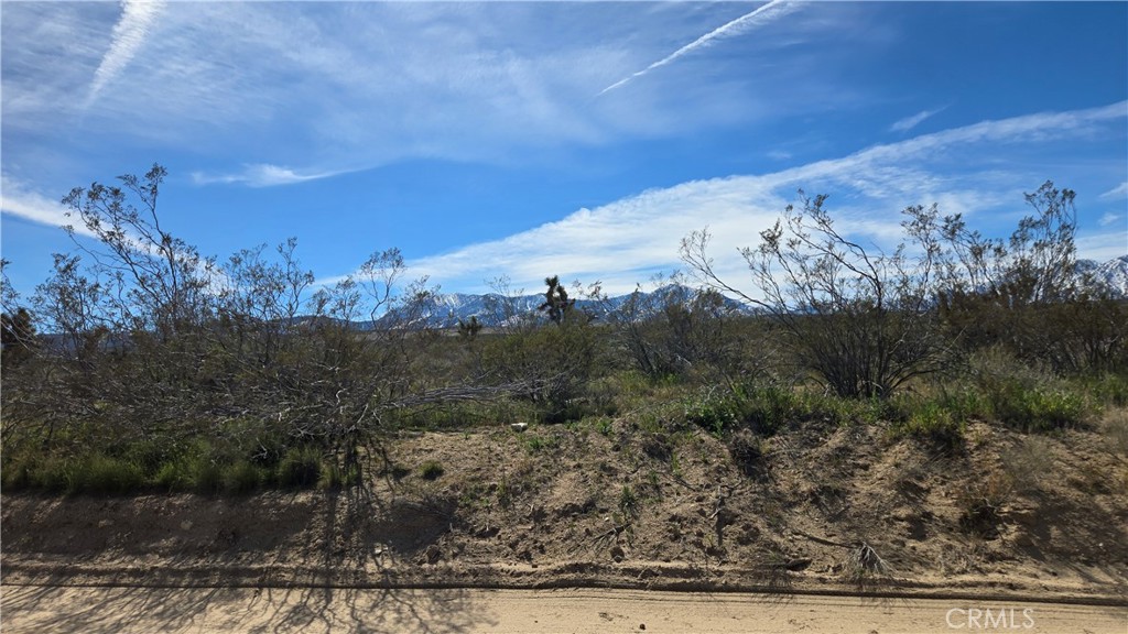 0 Fort Tejon Road Llano, CA 93544 - Photo 15 of 50 a view of a yard with mountains in the background